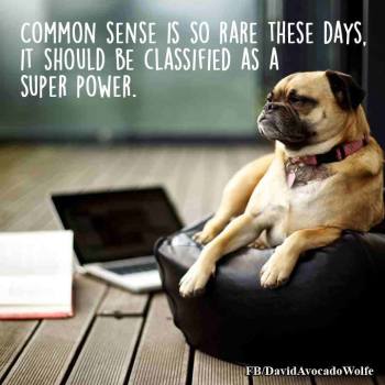 common-sense-is-so-rare-these-days-it-should-be-classified-as-a-superpower